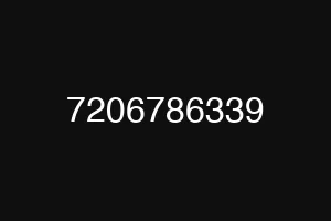 7206786339