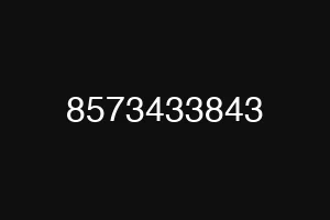 8573433843