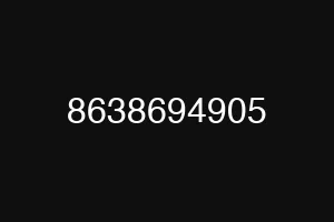 8638694905