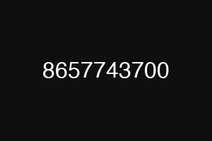 8657743700