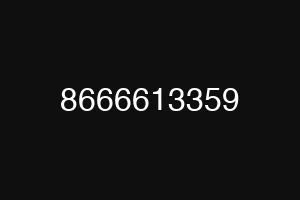 8666613359