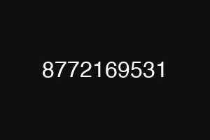 8772169531