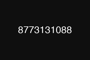 8773131088